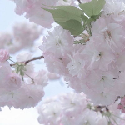 吴起FurryQQ群介绍